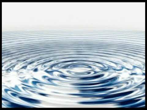 Sak noel ft.sito rocks pinga (video)