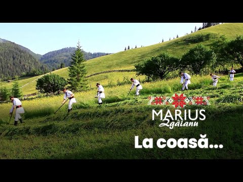 Marius Zgâianu - La coasă...