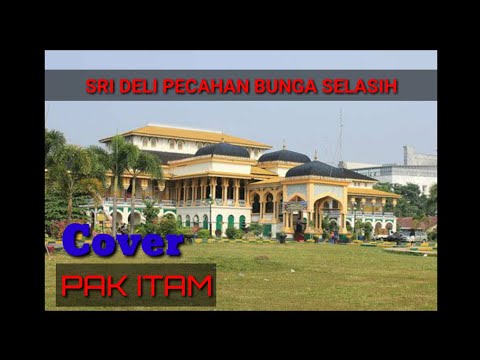 Lagu Melayu Sri Deli Cover by Pak Itam Pecahan Nya Bunga Selasih