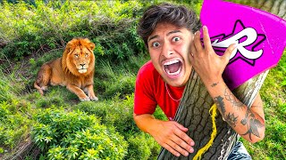 Kite Hunting Adventure — Full Transcript & Summary