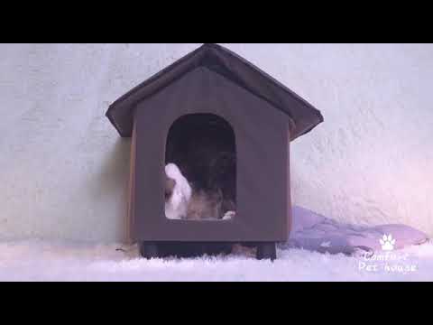 Diy cooler and warmer pet house for cat and dog