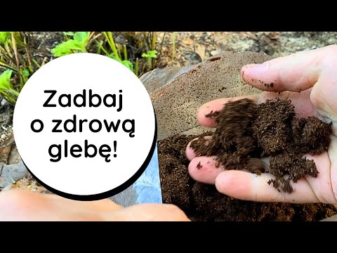 TRICHODERMA, Pożyteczne MIKROORGANIZMY Sekret Pięknych Roślin i Naturalnych, Zdrowych Warzyw #BIOaid