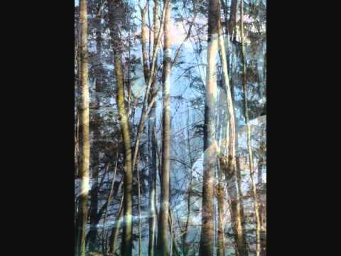 Boris Babarović Barba - Krešimir Mimić - Nismo stigli reći