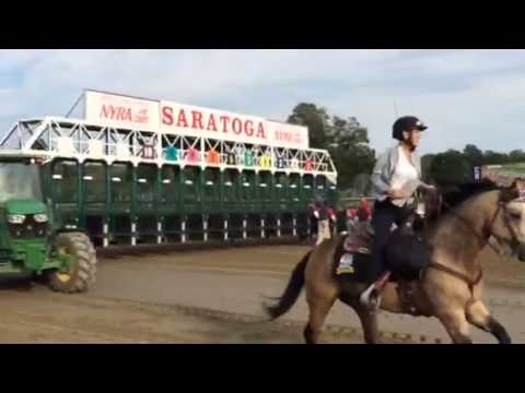 Saratoga Travers 2015 - American Pharaoh Keen Ice at the Gate