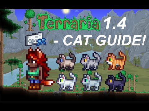 How To Get A CAT NPC in Terraria 1.4! | Zoologist, Cat, and Cat License Tutorial/Guide
