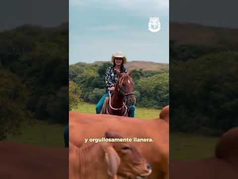 Ganadería la Santa Puerto Lopez Meta