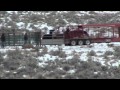 Challis Gather October 2012 Loading From Capture Site