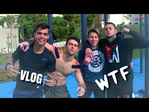 NAME: Shrim Flip 360