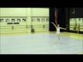 Sleeping Beauty And Don Quixote Variations