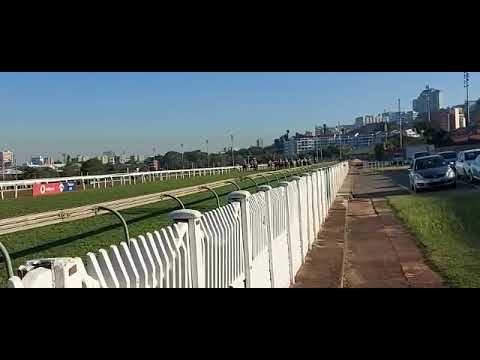 KOMMETDIEDING 200m from home in the Durban July