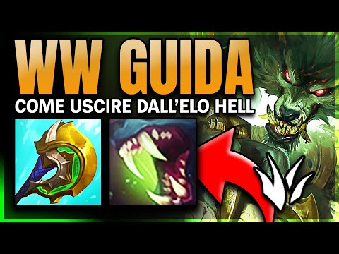 WARWICK GUIDA - JUNGLE: Come giocarlo e perché è forte