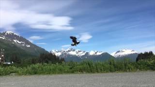 Bayside RV Park Video