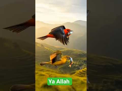 If we help others, never expect anything in return.