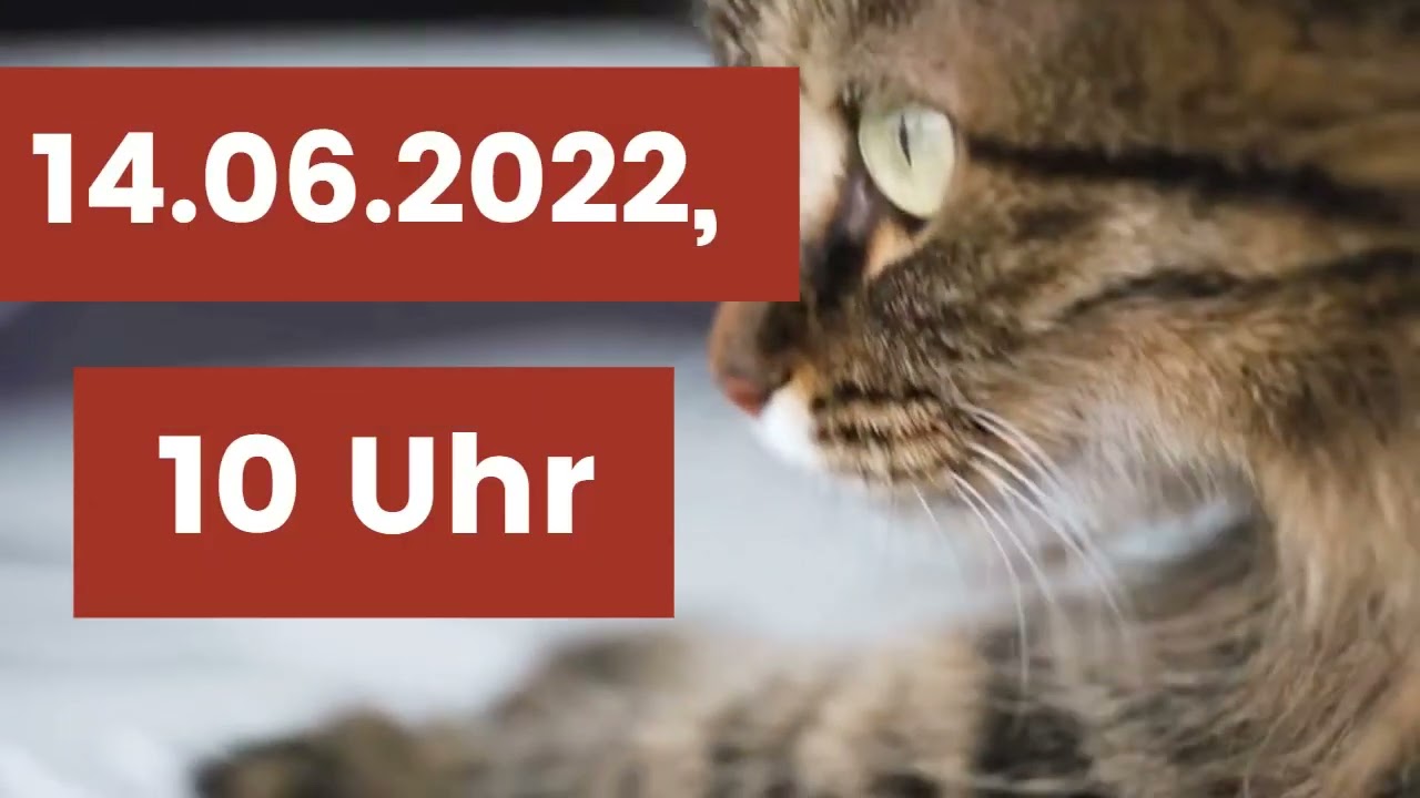 Hinweis auf unseren kommenden Podcast