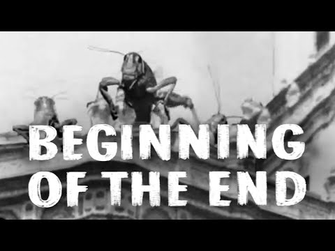 Beginning of the End - Giant Monster Grasshoppers! | 1957 Sci-Fi Horror Classic Film
