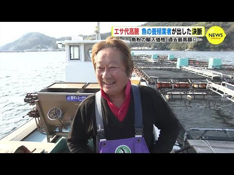 水産養殖:魚粉の代わりに昆虫を使用