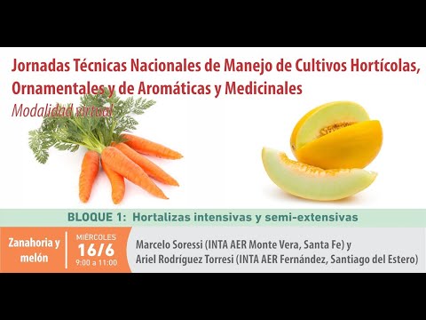 , title : 'Jornadas Técnicas Nacionales: Zanahoria y melón'