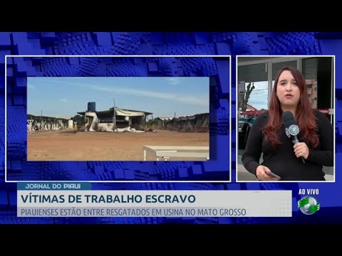 Piauienses estão entre os 563 resgatados de trabalho escravo em usina no MT