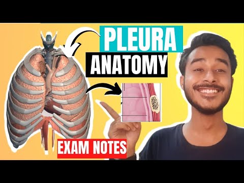 Pleura anatomy 3D | Difference between visceral and parietal pleura