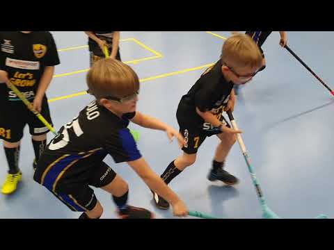 Ervi Valkoinen - Blackbirds Musta 3-3