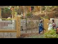 Love You Zindagi Full Video Dear Zindagi Alia Bhatt Shah Rukh Khan Whatsapp Status