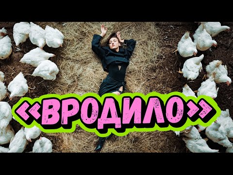 Project "ВРОДИЛО" — ВРОДИЛО (Official Music Video / UA Version) | Latifundist