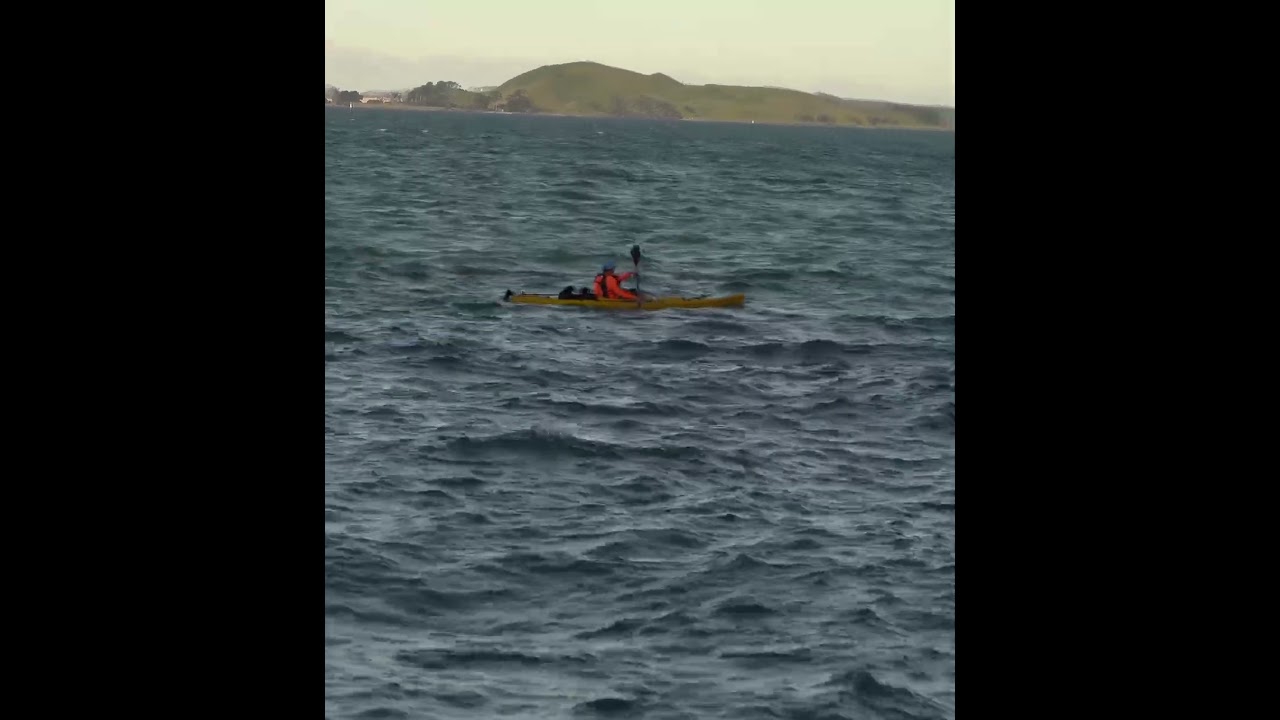 Quite choppy sea #kayaking #choppy #kayak #newzealand
