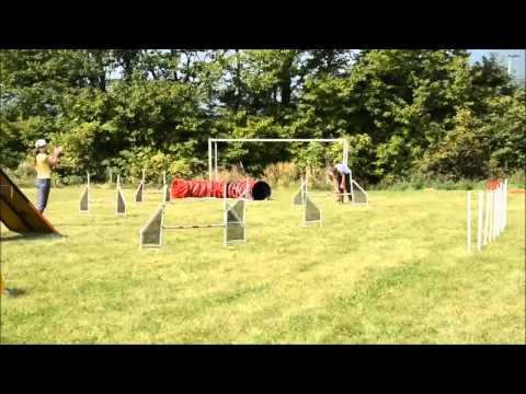 Intenzivka s Martinou Konečnou [Agility]