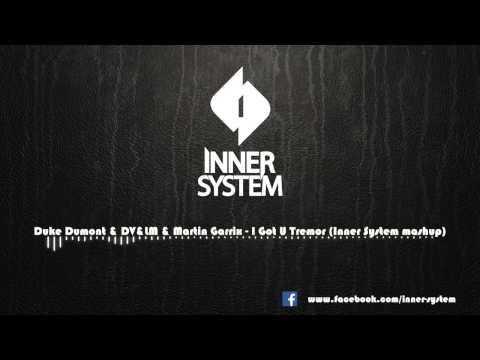 Duke Dumont & DV&LM & Martin Garrix - I Got U Tremor (Inner System mashup)