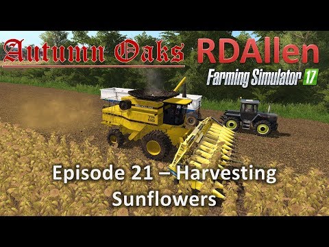 Farming Simulator 17 Autumn Oaks E21 - Harvesting Sunflowers