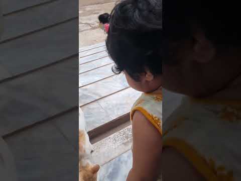 happy baby umama feeding cats #cutebaby
