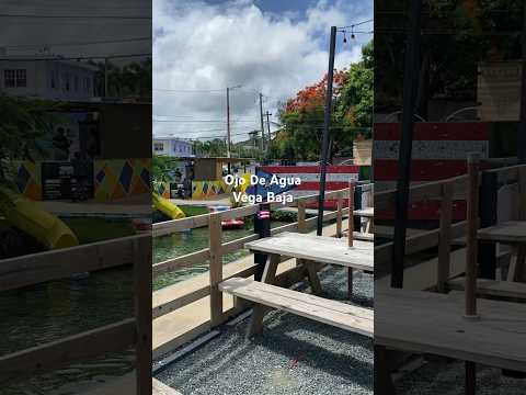 #reggae fresh-water springs North Coast of 🇵🇷