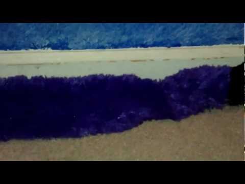 Large Snake Takes Car Down