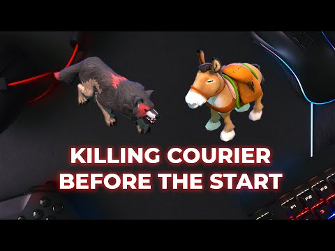 IG.JT kills Courirer of Somnus | Dota 2 the Next Level Play