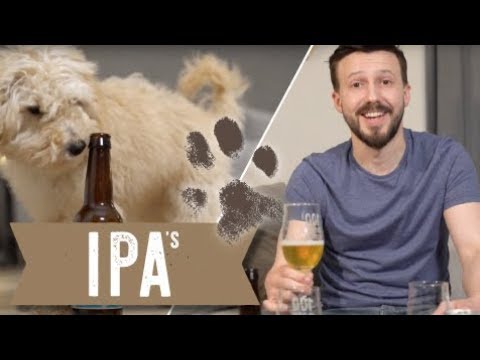 "THE BEER THAT STARTED A REVOLUTION" | IPA's