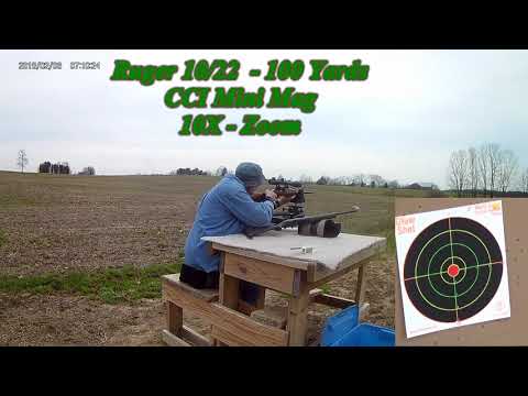 Rossi RS22 vs Ruger 10 22 at 100 Yards No 5