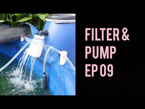 Koi Breeding 19 Setting Up Fry Pump and Filter