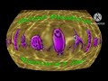 United Plankton Pictures Inc Nickelodeon Logo Effects