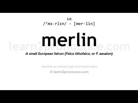 Pronunciation of Merlin | Definition of Merlin