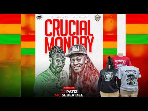 DJ PATIZ X MC SEBAR DEE - CRUCIAL NEEDLES REGGAE