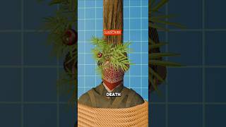 Download lagu How Bamboo Torture Works 🤔 mp3 Download lagu How Bamboo Torture Works 🤔 mp3