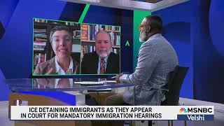 Dara Lind on how Trump deportations rip through American communities