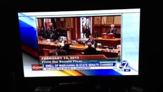 Denver Colorado Marijuana Senator Smoking Some Marijuana Be