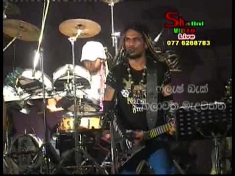 FlashBack - Live At Halawatha - 5 END - WWW.AMALTV.COM