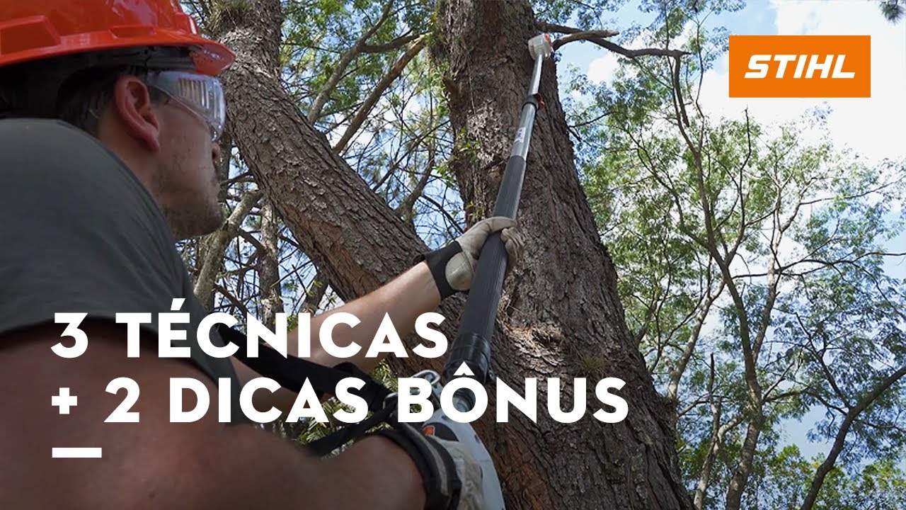 3 TÉCNICAS para PODA DE GALHOS ALTOS + 2 DICAS BÔNUS