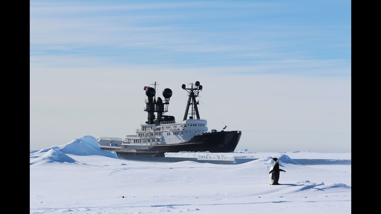 Yacht Video
