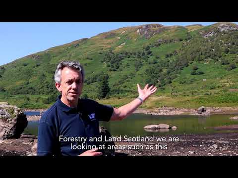 COP26 - Carbon Capture