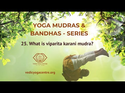 What is viparita karani mudra?  Shailendra Singh Negi, Vedic Yoga Centre