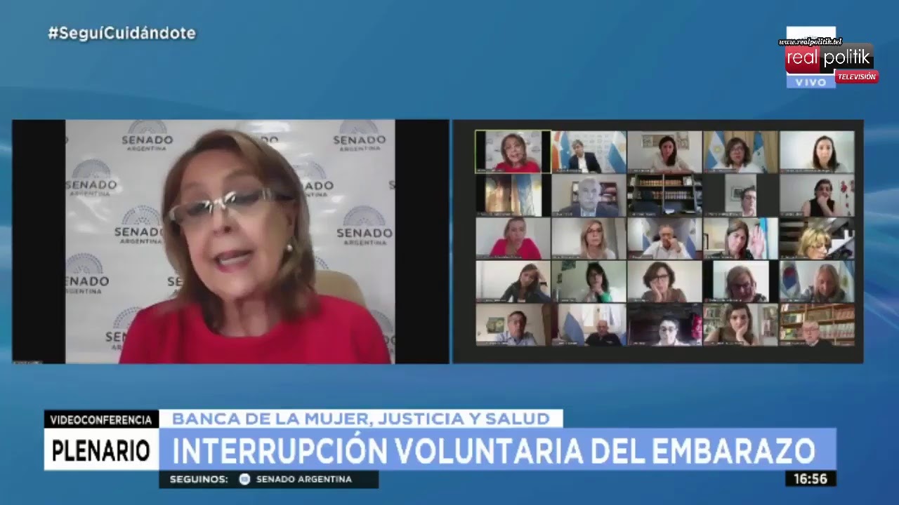 El Senado debate en comisión la legalización del aborto