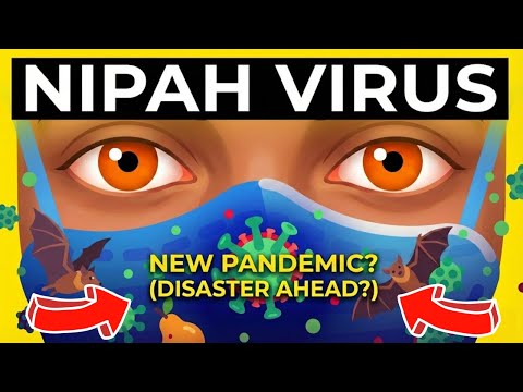 NIPAH VIRUS: A New Global Health Emergency?